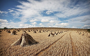 pile of hays on grassland during daytime