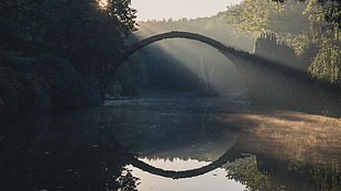concrete bridge on body of water