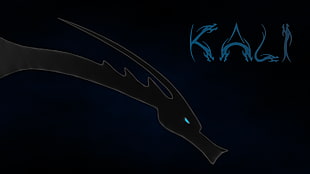 black dragon illustration, Linux, Kali Linux, Kali Linux NetHunter