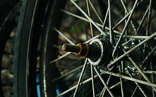 selective focus photography of rusted motorcycle wheel
