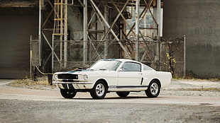 Photo of white Vintage Mustang G T HD wallpaper