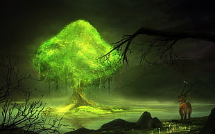 digital art, fantasy art, nature, trees HD wallpaper