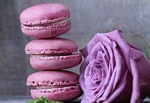 purple rose and three pastries HD wallpaper
