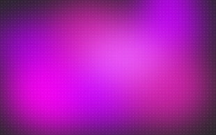 Lilac,  Purple,  Bright,  Spots HD wallpaper