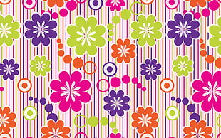 multicolored floral frame HD wallpaper