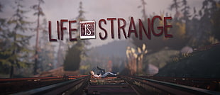 Life is Strange poster, Life Is Strange, Max Caulfield, Chloe Price, video games