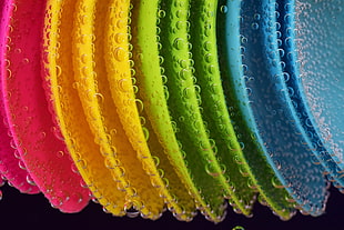 blue, green, yellow, and red plates digital wallpaper