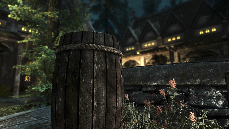 brown wooden barrek, The Elder Scrolls V: Skyrim, nature, town HD wallpaper