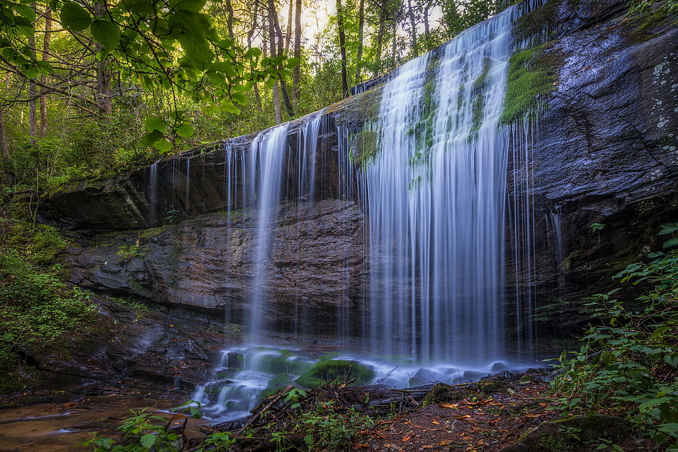 waterfall on forest during daytime HD wallpaper
