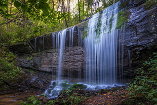 waterfall on forest during daytime