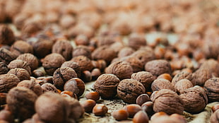 walnut lot, macro, nature, nuts, warm colors