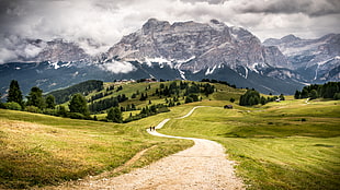 person walking on pathway between green grass field through grey mountain during daytime, alta badia, italy HD wallpaper