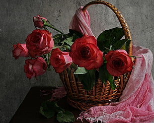 red rose flower on basket