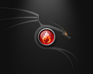 gray Dragon with red flame illustration HD wallpaper