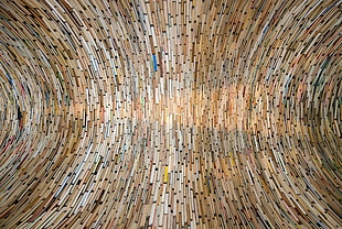 brown and black area rug, pattern, texture, books