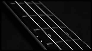 gray guitar string, bass guitars, music, rock music, monochrome