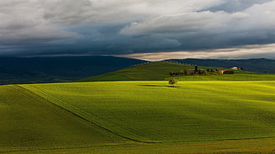 green grassfield, hills HD wallpaper