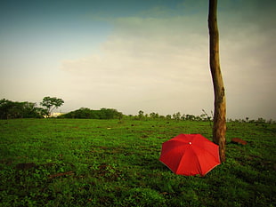 red umbrella, love, happy, nature