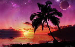 green coconut tree during nightime