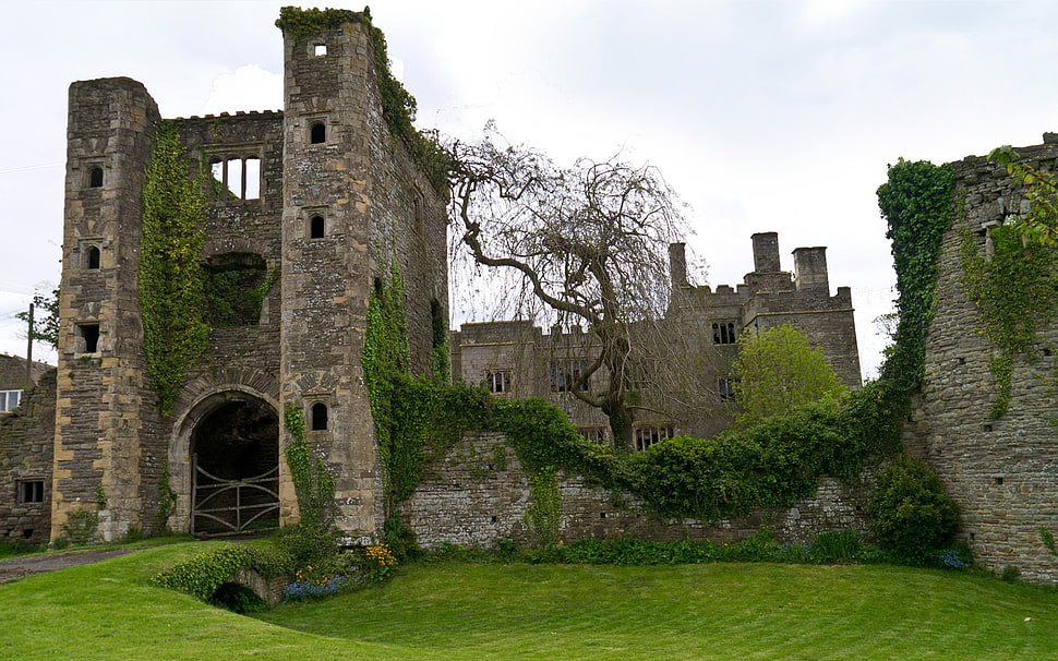 brown bricked castle, castle HD wallpaper