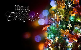 Merry Christmas sign, Christmas, winter HD wallpaper