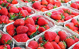 basket of strawberry