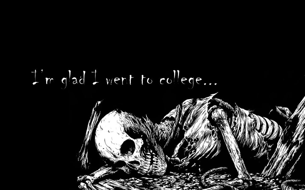 white skeleton with text overlay wallpaper, death, knowledge, skeleton, truth HD wallpaper