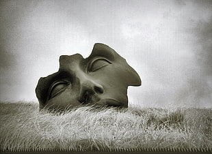 human face sculpture on grass field