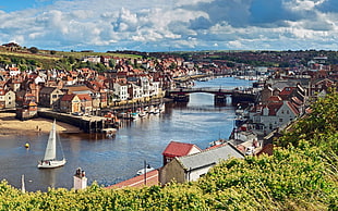 aerial photo of town near body of water, England, cityscape