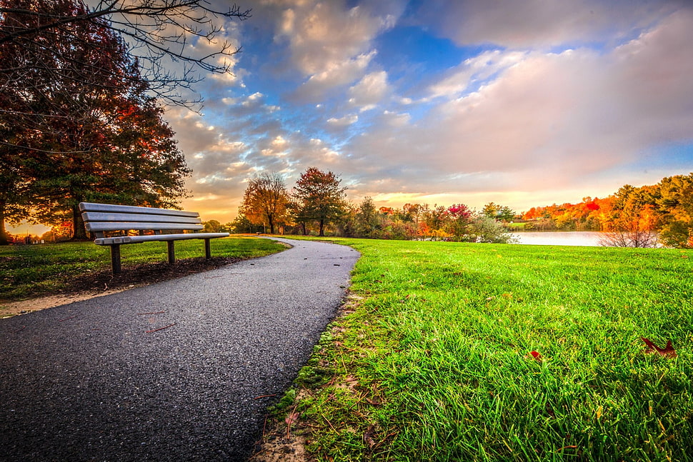 curved pathway between grass fields HD wallpaper