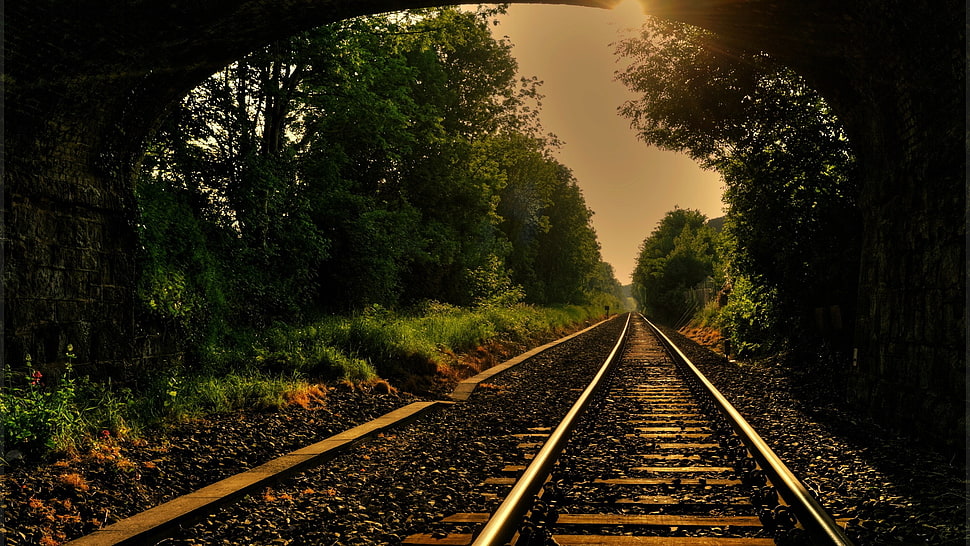 gray train rails, forest, trees, railway HD wallpaper