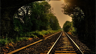gray train rails, forest, trees, railway