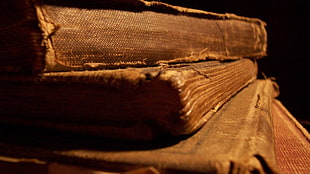 brown piled books HD wallpaper