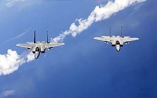 two gray tomcat jets, F-15 Eagle, airplane, F-15 Strike Eagle, military aircraft
