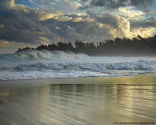 blue seawave, nature, sea, beach, waves
