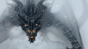 black dragon illustration, fantasy art, dragon, face, wings