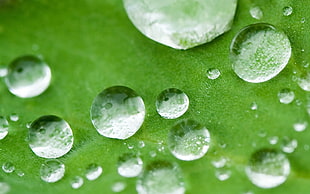 water droplets HD wallpaper