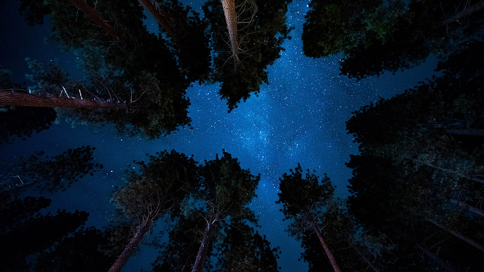 sky, night HD wallpaper