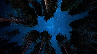 sky, night HD wallpaper