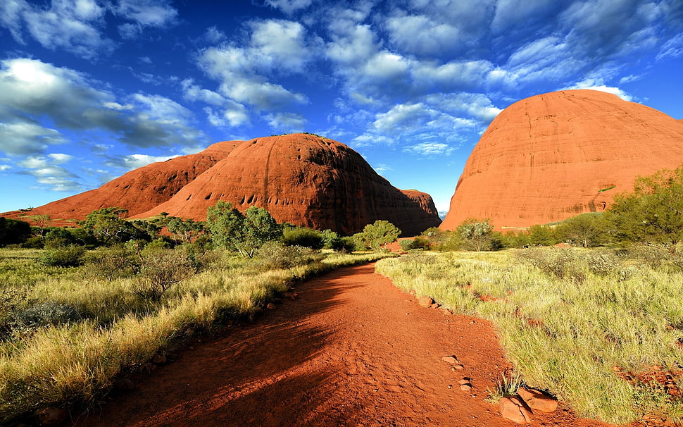 rock formation surrounded with green grass HD wallpaper