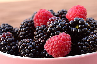 red and black berries fruits HD wallpaper