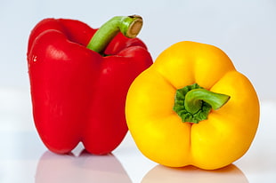 yellow and red Chili pepper HD wallpaper
