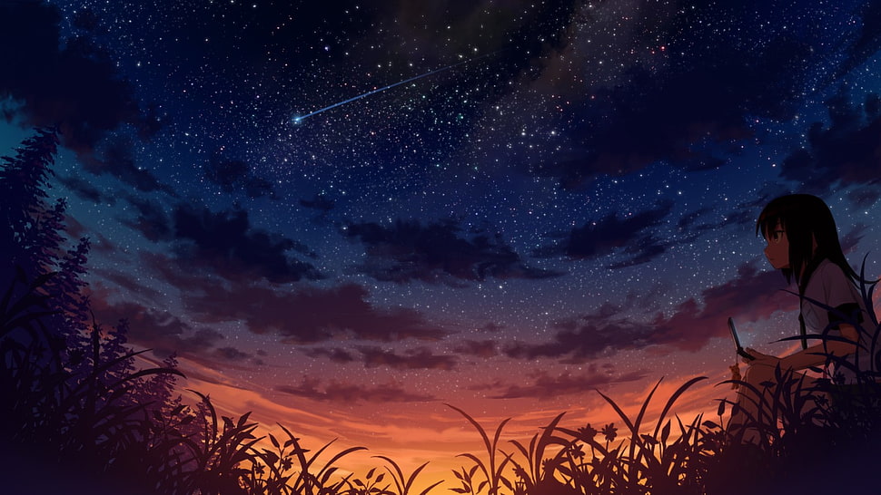 night sky with shooting star on display anime digital wallpaper HD wallpaper