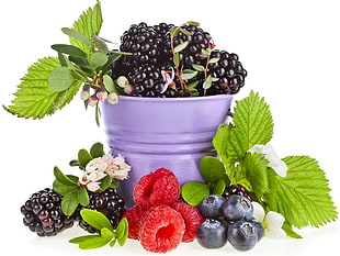 basket of blackberries, raspberries, and blueberries