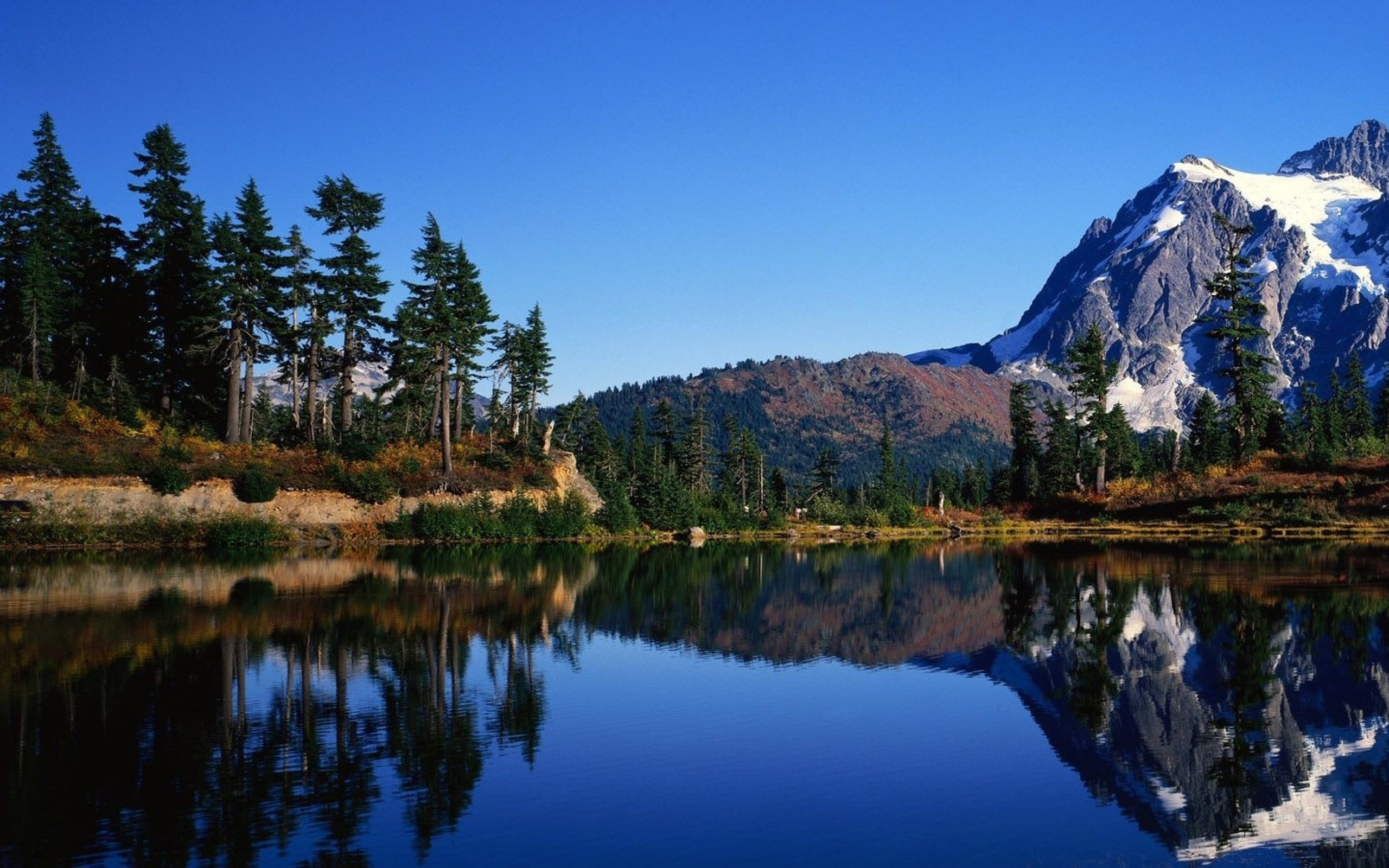 pine trees, landscape, water, hills, trees