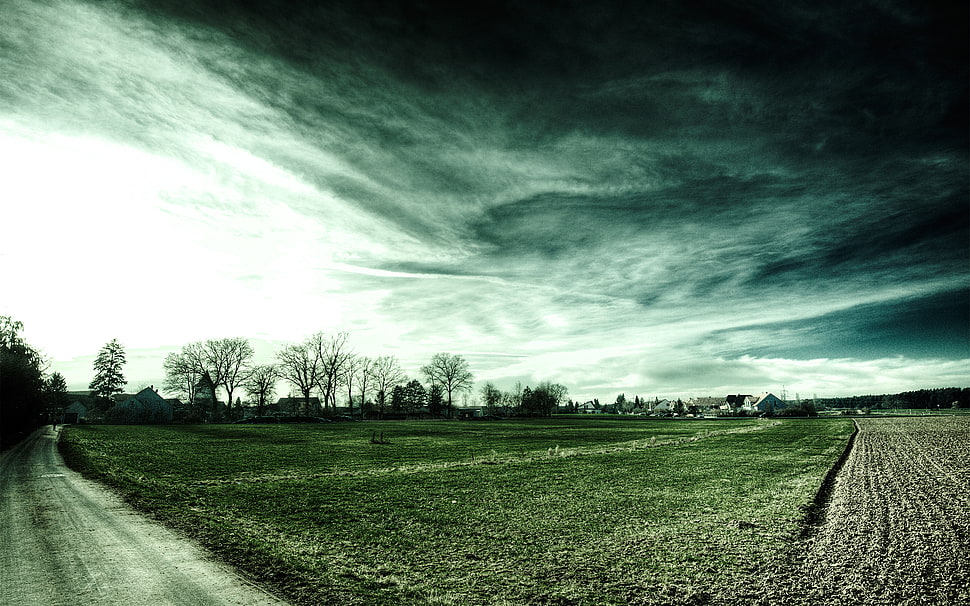 green grass field, field, clouds, house, trees HD wallpaper