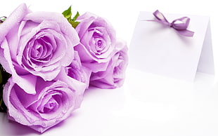 five purple roses with envelop