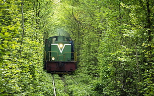 green and brown train