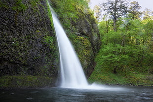 waterfalls near trees, columbia river gorge national scenic area, columbia river, oregon HD wallpaper