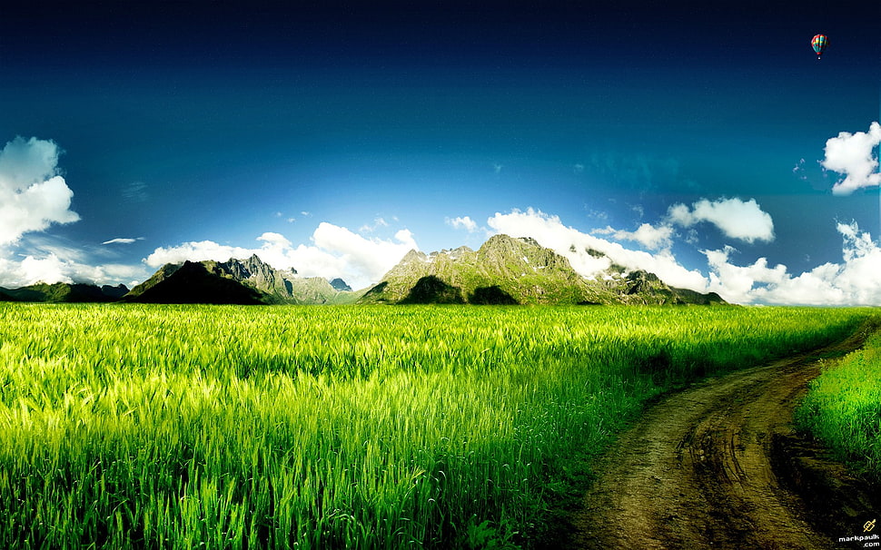 green and white grass field, digital art, grass, landscape HD wallpaper
